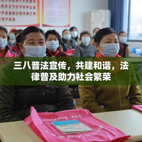 三八普法宣傳，共建和諧，法律普及助力社會繁榮