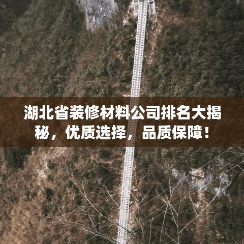 湖北省裝修材料公司排名大揭秘，優(yōu)質(zhì)選擇，品質(zhì)保障！