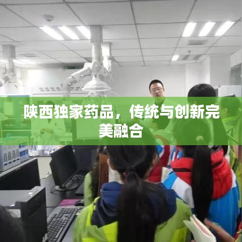 陜西獨(dú)家藥品，傳統(tǒng)與創(chuàng)新完美融合