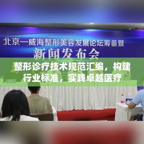 整形診療技術(shù)規(guī)范匯編，構(gòu)建行業(yè)標(biāo)準(zhǔn)，實(shí)踐卓越醫(yī)療