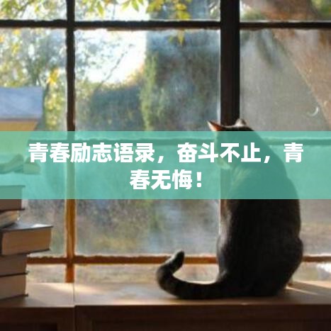 青春勵志語錄，奮斗不止，青春無悔！