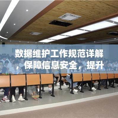 數(shù)據(jù)維護工作規(guī)范詳解，保障信息安全，提升操作效率