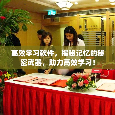 高效學(xué)習(xí)軟件，揭秘記憶的秘密武器，助力高效學(xué)習(xí)！
