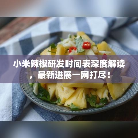 小米辣椒研發(fā)時間表深度解讀，最新進展一網(wǎng)打盡！