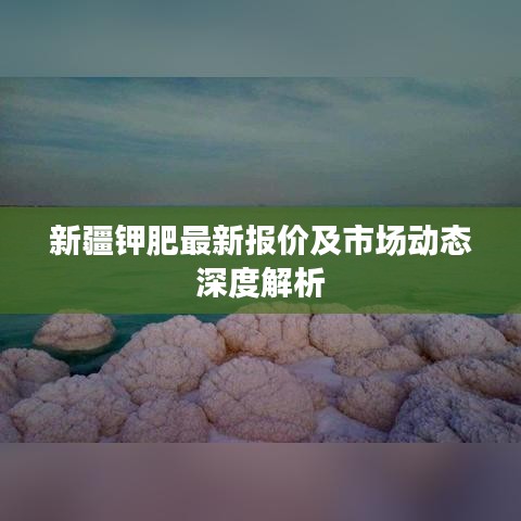 新疆鉀肥最新報(bào)價(jià)及市場動態(tài)深度解析