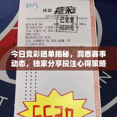 今日競(jìng)彩曬單揭秘，洞悉賽事動(dòng)態(tài)，獨(dú)家分享投注心得策略