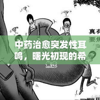 中藥治愈突發(fā)性耳鳴，曙光初現(xiàn)的希望之路