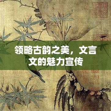 領(lǐng)略古韻之美，文言文的魅力宣傳