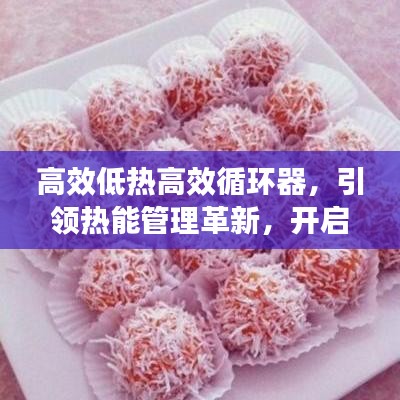 高效低熱高效循環(huán)器，引領熱能管理革新，開啟新時代篇章