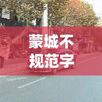 蒙城不規(guī)范字的來源與解析