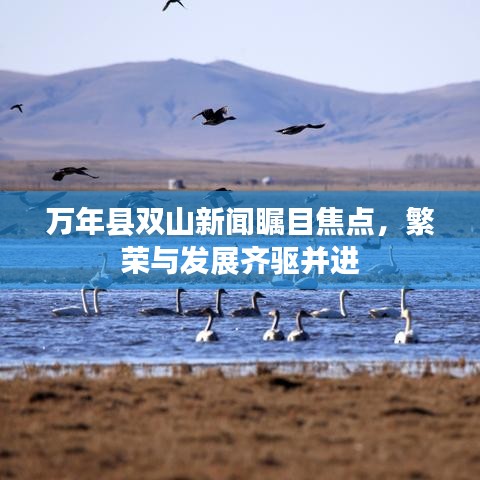 萬年縣雙山新聞矚目焦點，繁榮與發(fā)展齊驅(qū)并進