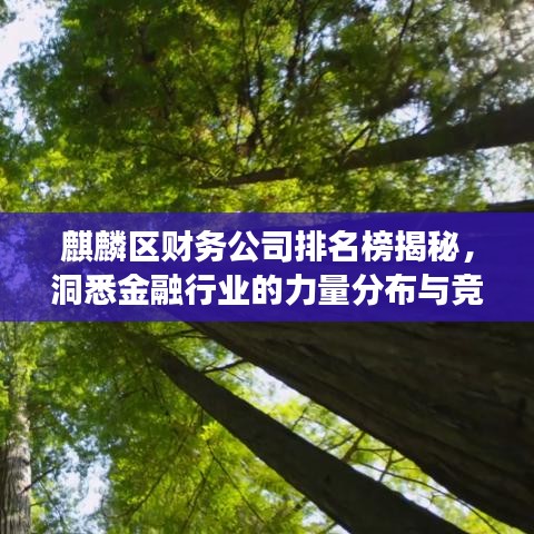 麒麟?yún)^(qū)財務(wù)公司排名榜揭秘，洞悉金融行業(yè)的力量分布與競爭格局