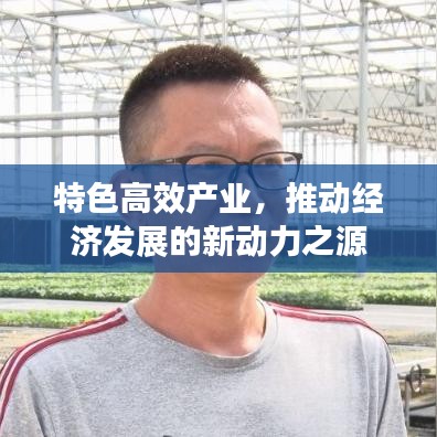 特色高效產業(yè)，推動經濟發(fā)展的新動力之源