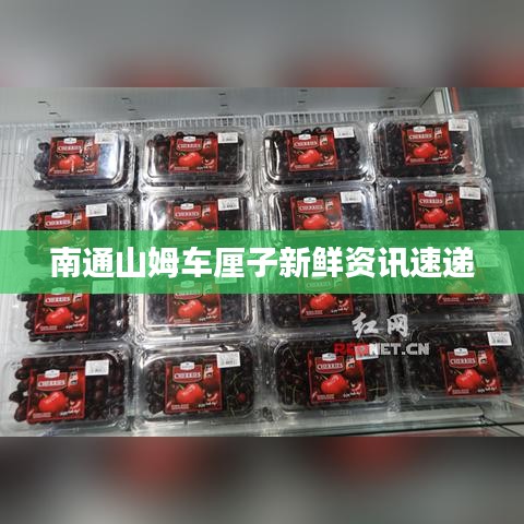 南通山姆車?yán)遄有迈r資訊速遞