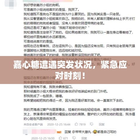 嘉心糖遭遇突發(fā)狀況，緊急應(yīng)對時(shí)刻！