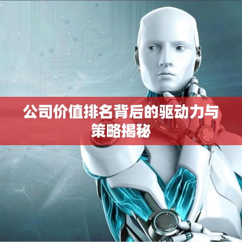 公司價(jià)值排名背后的驅(qū)動(dòng)力與策略揭秘