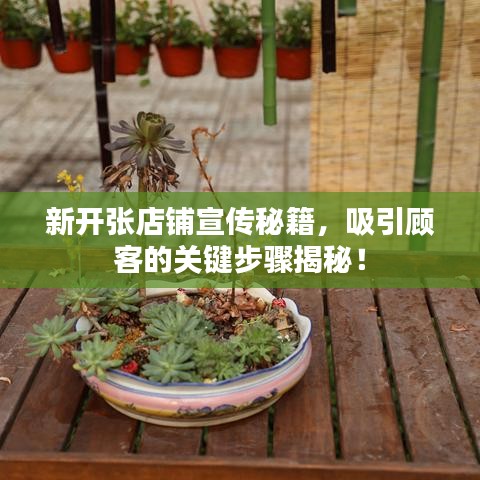 新開張店鋪宣傳秘籍，吸引顧客的關(guān)鍵步驟揭秘！