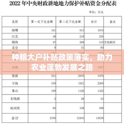 種糧大戶補(bǔ)貼政策落實(shí)，助力農(nóng)業(yè)蓬勃發(fā)展之路