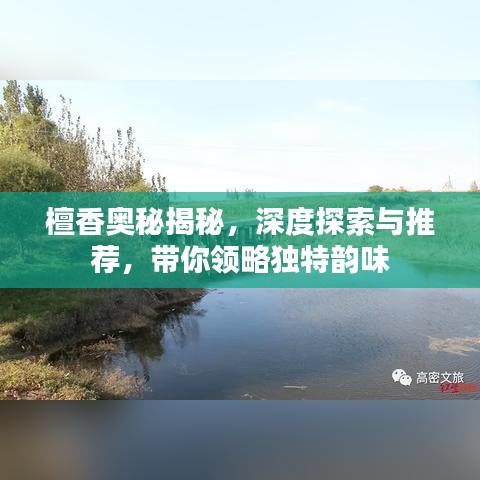 檀香奧秘揭秘，深度探索與推薦，帶你領(lǐng)略獨(dú)特韻味