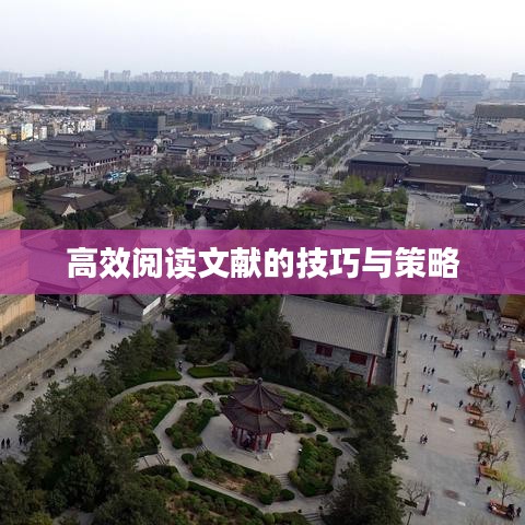 高效閱讀文獻的技巧與策略