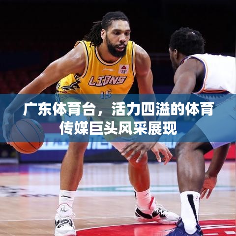廣東體育臺，活力四溢的體育傳媒巨頭風(fēng)采展現(xiàn)