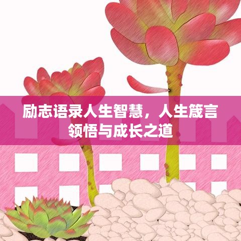 勵(lì)志語(yǔ)錄人生智慧，人生箴言領(lǐng)悟與成長(zhǎng)之道
