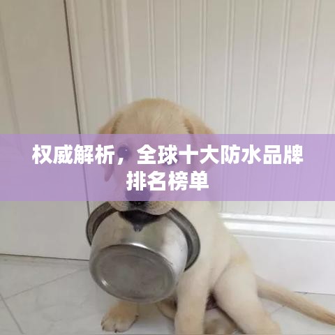 權(quán)威解析，全球十大防水品牌排名榜單