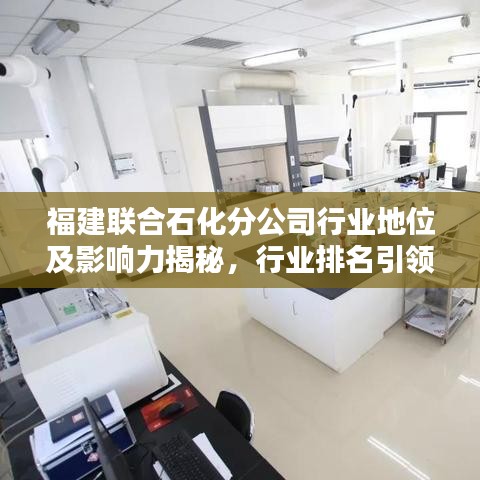 福建聯(lián)合石化分公司行業(yè)地位及影響力揭秘，行業(yè)排名引領石化風潮