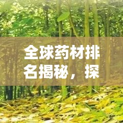 全球藥材排名揭秘，探究藥材的重要性