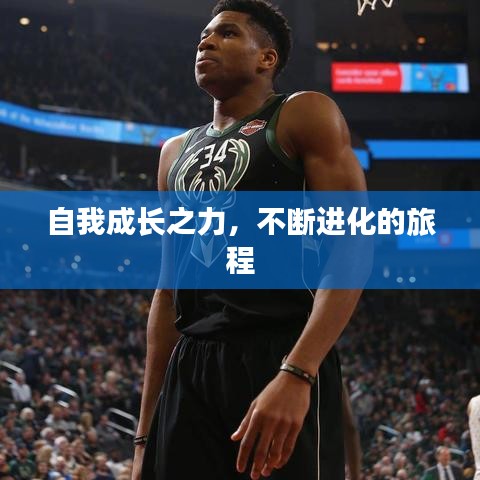 自我成長(zhǎng)之力，不斷進(jìn)化的旅程