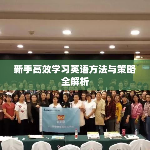 新手高效學習英語方法與策略全解析