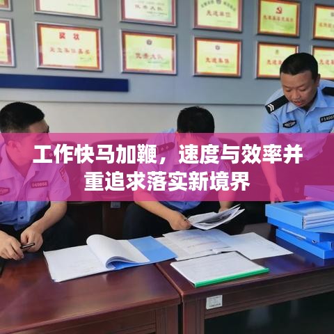 工作快馬加鞭，速度與效率并重追求落實新境界
