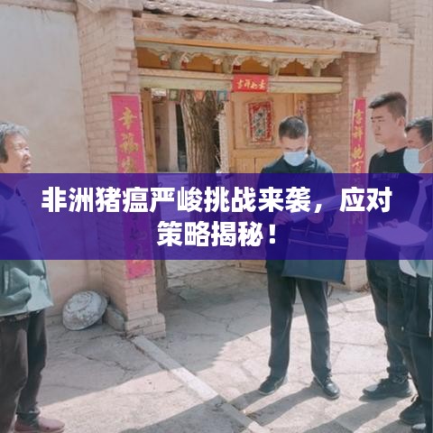 非洲豬瘟嚴(yán)峻挑戰(zhàn)來襲，應(yīng)對策略揭秘！