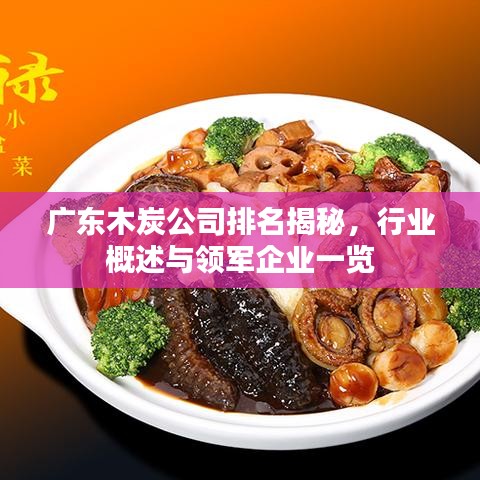 廣東木炭公司排名揭秘，行業(yè)概述與領(lǐng)軍企業(yè)一覽