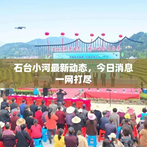 石臺小河最新動態(tài)，今日消息一網(wǎng)打盡