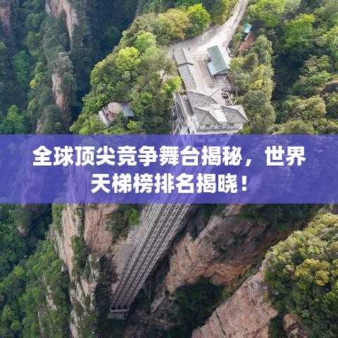 全球頂尖競爭舞臺揭秘，世界天梯榜排名揭曉！