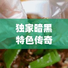獨(dú)家暗黑特色傳奇，神秘傳奇之旅