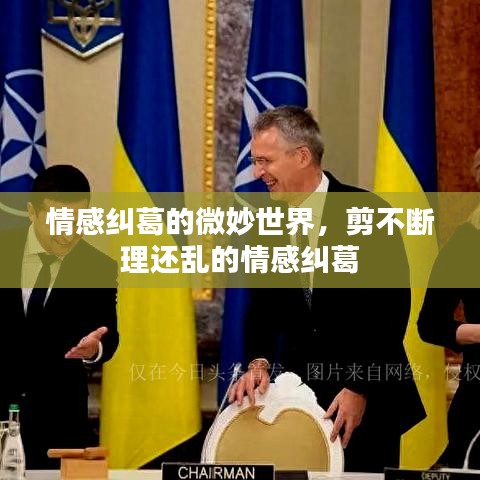 情感糾葛的微妙世界，剪不斷理還亂的情感糾葛