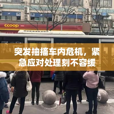 虎背熊腰 第4頁