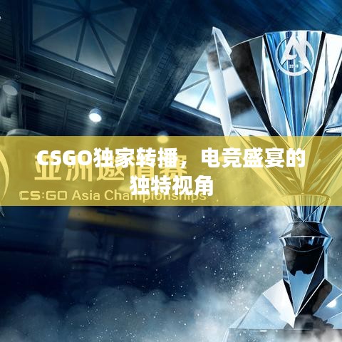 CSGO獨家轉(zhuǎn)播，電競盛宴的獨特視角