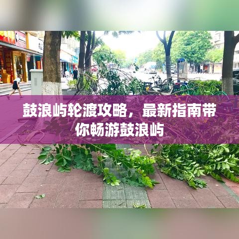 鼓浪嶼輪渡攻略，最新指南帶你暢游鼓浪嶼