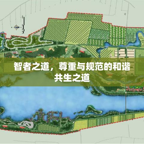 智者之道，尊重與規(guī)范的和諧共生之道