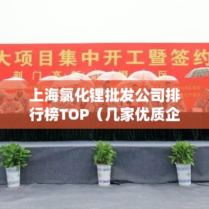 上海氯化鋰批發(fā)公司排行榜TOP（幾家優(yōu)質(zhì)企業(yè)推薦）