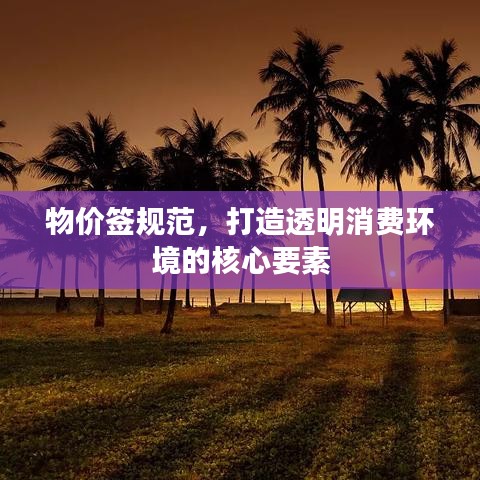 物價(jià)簽規(guī)范，打造透明消費(fèi)環(huán)境的核心要素