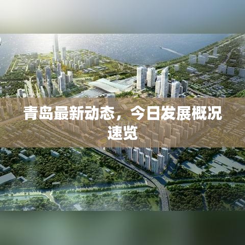 青島最新動(dòng)態(tài)，今日發(fā)展概況速覽