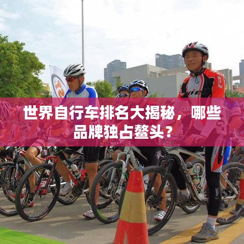 世界自行車(chē)排名大揭秘，哪些品牌獨(dú)占鰲頭？