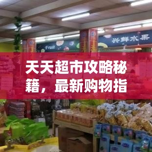 天天超市攻略秘籍，最新購物指南一網(wǎng)打盡！