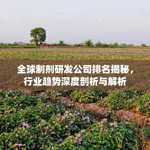全球制劑研發(fā)公司排名揭秘，行業(yè)趨勢深度剖析與解析