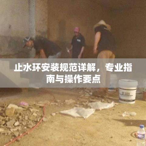 止水環(huán)安裝規(guī)范詳解，專業(yè)指南與操作要點(diǎn)