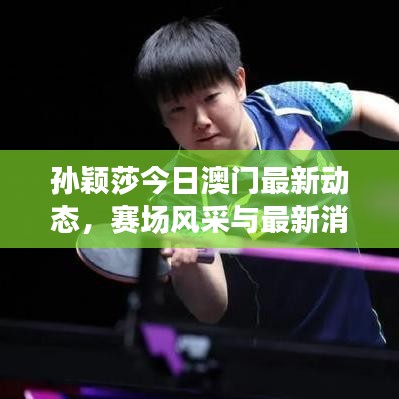 孫穎莎今日澳門最新動態(tài)，賽場風(fēng)采與最新消息速遞